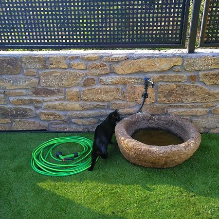 Casa Rural El Gato Negro Trefacio Zewnętrze zdjęcie