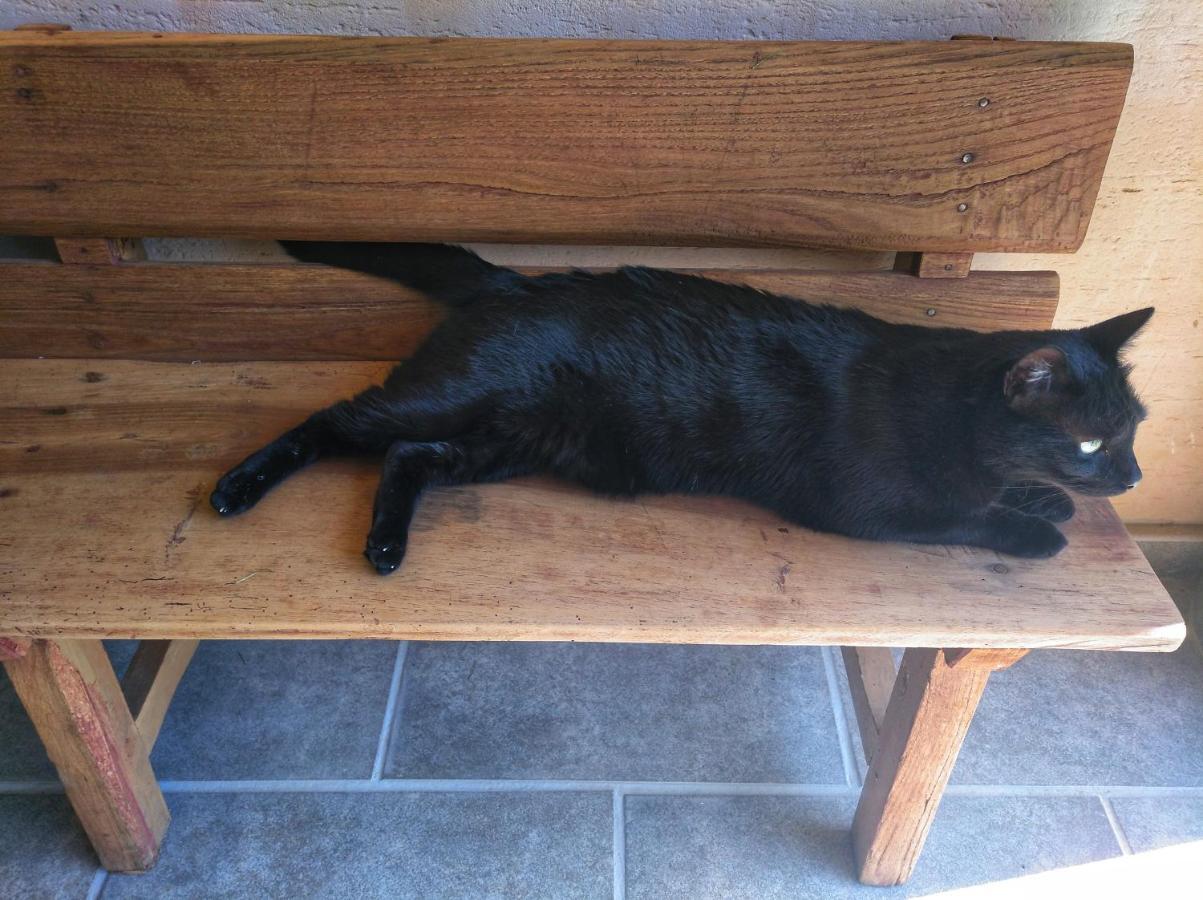 Casa Rural El Gato Negro Trefacio Zewnętrze zdjęcie
